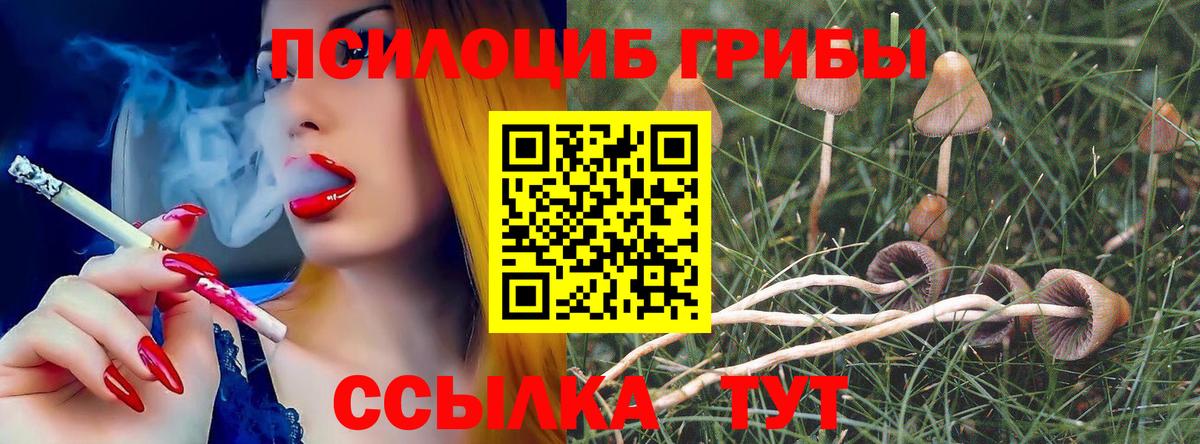 Каннабис  Меф   Вход с VPN  Кокаин  Кодеин  ГАШ  A-PVP СК   Старая Купавна  Мефедрон  Наркошоп 