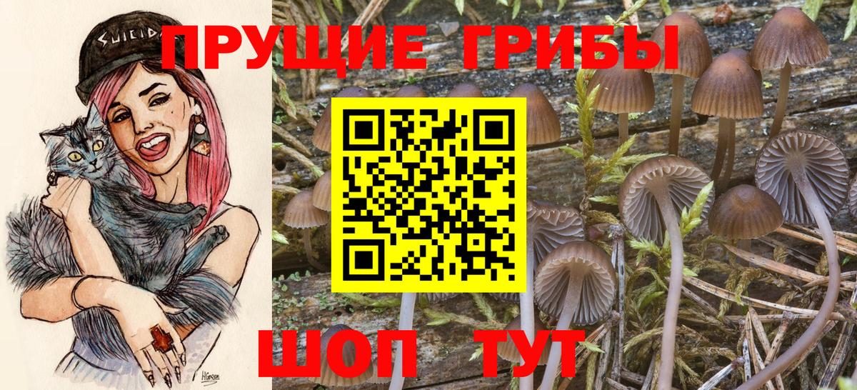 Галлюциногенные грибы Psilocybe Старая Купавна