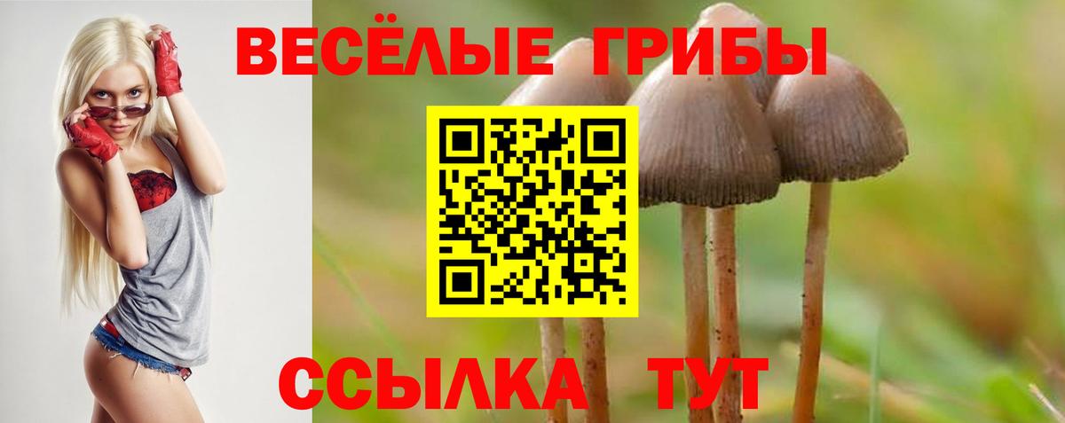 Галлюциногенные грибы прущие грибы  Вход с VPN  Старая Купавна  Псилоцибиновые грибы мицелий 